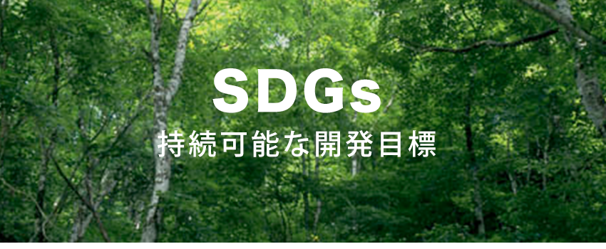 SDGs タイトル